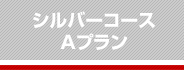 シルバーコースAプラン