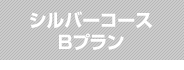 シルバーコースBプラン