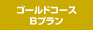 ゴールドコースBプラン