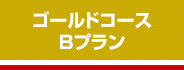 ゴールドコースBプラン